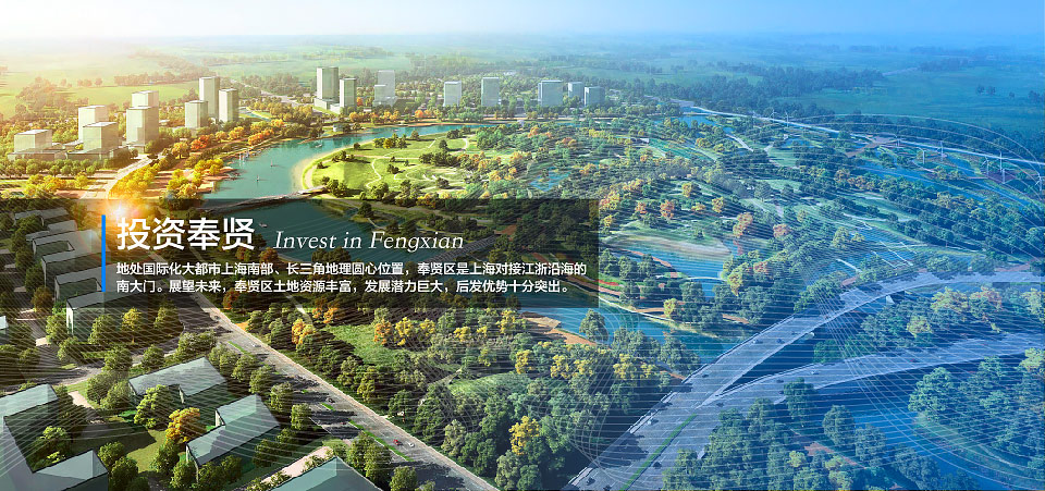 上海奉賢公司注冊(cè)